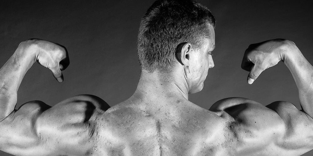 Mi vitae magnis Fusce laoreet nibh felis porttitor laoreet